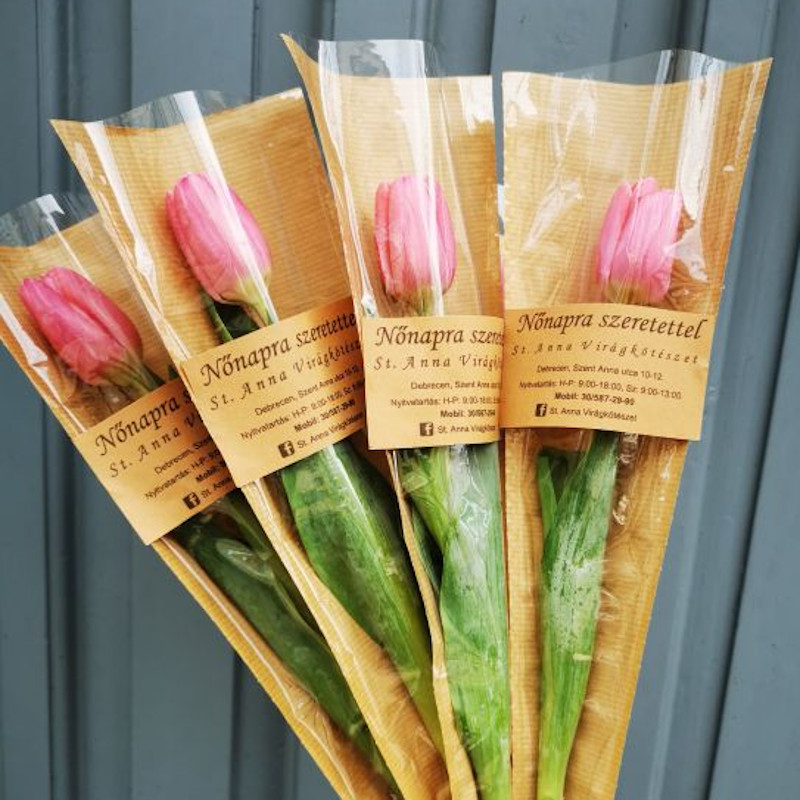 Csomagolt tulipán