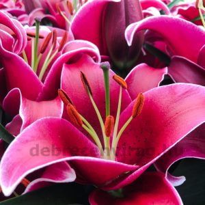 Liliom csokrok