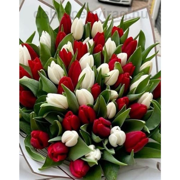 Virágcsokor 'Red & White'